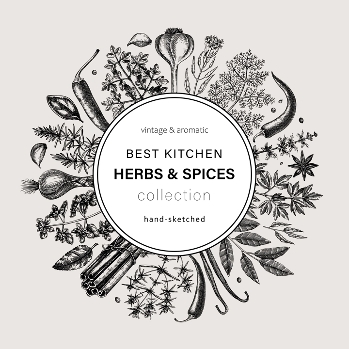 Hand-drawn herbs and spices round design. Hand-sketched food vintage wreath. Vintage aromatic plants hand-drawing. Kitchen herbs and spice frame template in sketched style for menu or banners